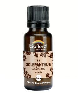 Scléranthe - Scléranthus (n°28), granules sans alcool BIO, 19 g